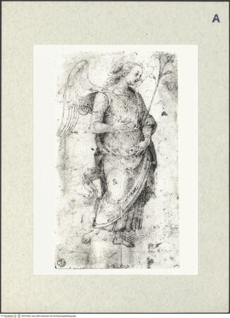 Vorderseite von bh410260_recto