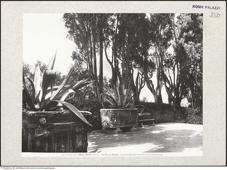 Vorderseite von Alinari [https://www.deutsche-digitale-bibliothek.de/content/lizenzen/rv-ez/] Giardini ColonnaOberer Garten auf dem Quirinal - Sarkophagen auf der Südseite des oberen Gartens, bh410364_recto. Foto.