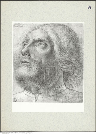 Vorderseite von bh410369_recto