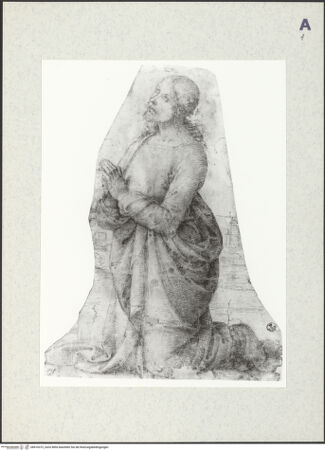 Vorderseite von bh410372_recto