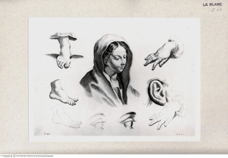 Vorderseite von bh410500