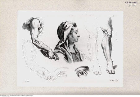 Vorderseite von bh410501