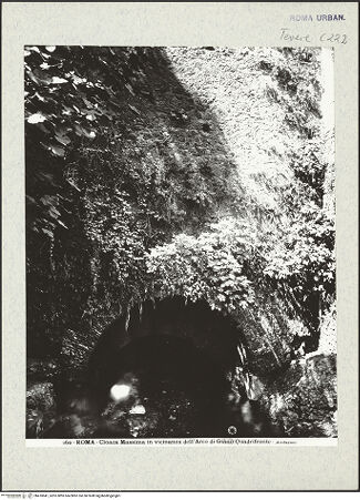 Vorderseite von bh410641_recto