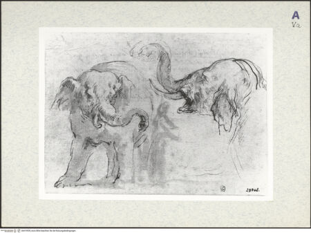 Vorderseite von bh410939_recto