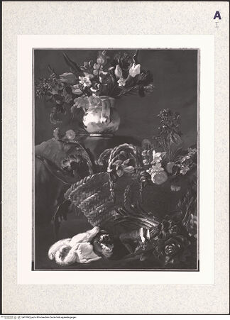 Vorderseite von bh410943_recto