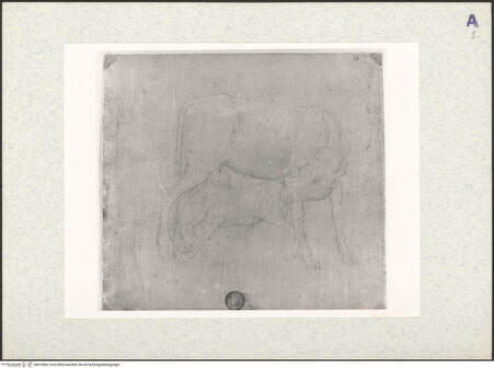 Vorderseite von bh410963_recto