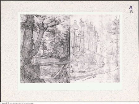 Vorderseite von bh410973_recto