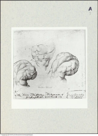 Vorderseite von bh410974_recto