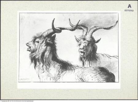 Vorderseite von bh411052_recto