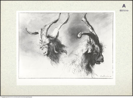 Vorderseite von bh411061_recto