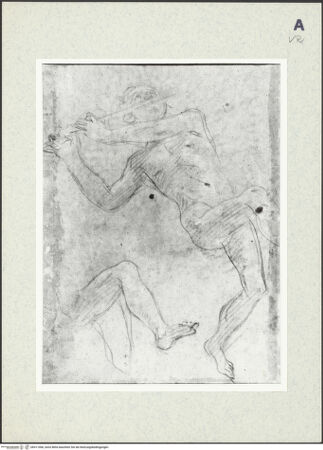 Vorderseite von bh411066_recto