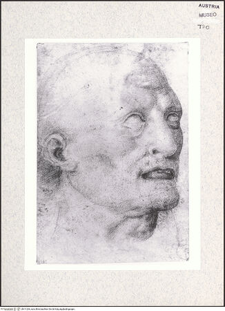 Vorderseite von bh411206_recto