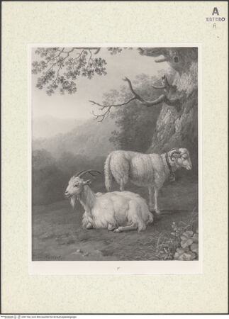 Vorderseite von bh411542_recto