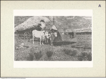 Vorderseite von bh411621_recto