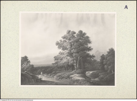 Vorderseite von bh411622_recto