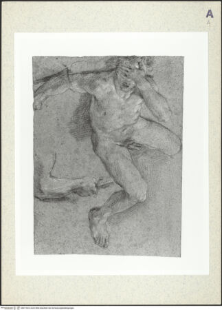 Vorderseite von bh411625_recto