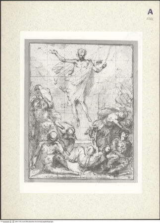 Vorderseite von bh411794_recto