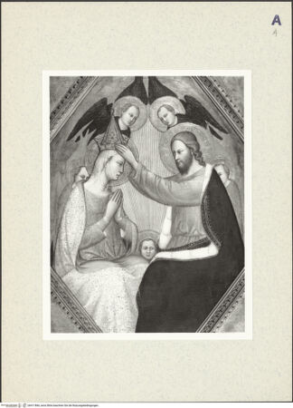 Vorderseite von bh411866_recto