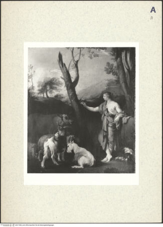 Vorderseite von bh411884_recto