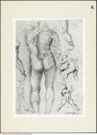 Vorderseite von bh411893_recto