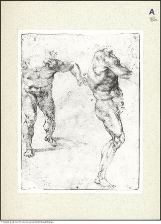 Vorderseite von bh411905_recto