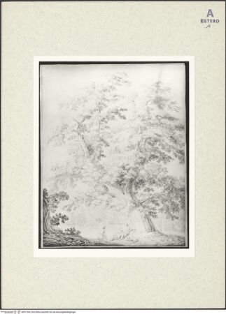 Vorderseite von bh411969_recto