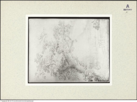 Vorderseite von bh411970_recto