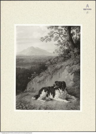 Vorderseite von bh412082_recto