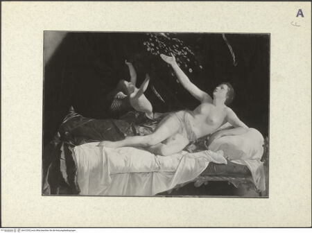 Vorderseite von bh412335_recto