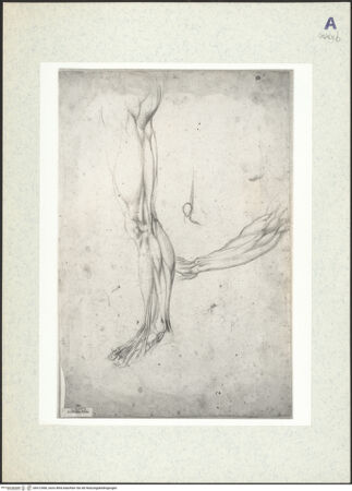 Vorderseite von bh412460_recto