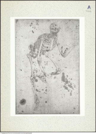 Vorderseite von bh412472_recto