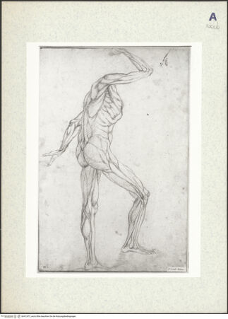 Vorderseite von bh412473_recto