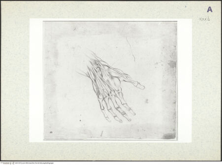 Vorderseite von bh412474_recto