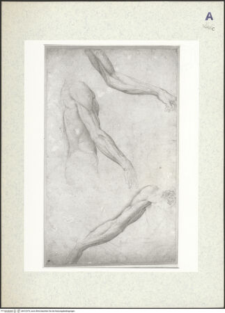 Vorderseite von bh412475_recto