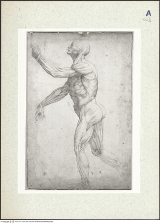 Vorderseite von bh412479_recto