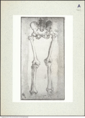 Vorderseite von bh412480_recto