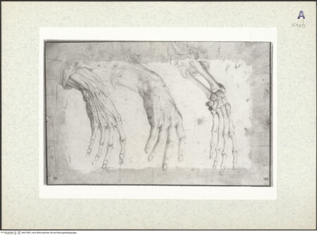 Vorderseite von bh412481_recto