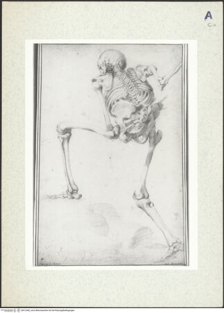 Vorderseite von bh412482_recto