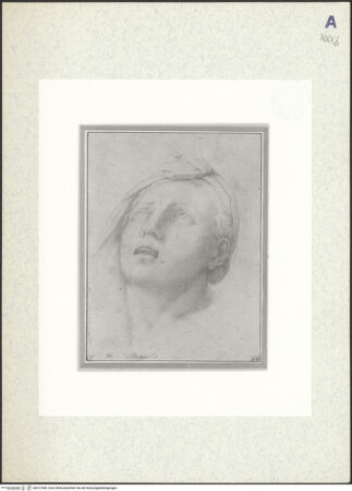 Vorderseite von bh412490_recto