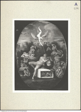 Vorderseite von bh412559_recto