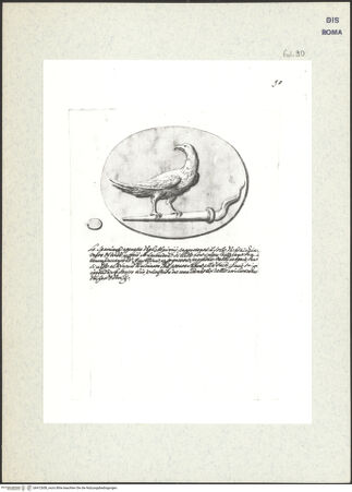 Vorderseite von bh412658_recto