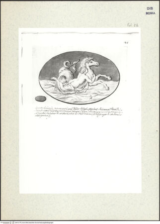 Vorderseite von bh412778_recto