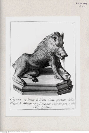 Vorderseite von bh412866