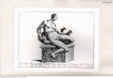 Vorderseite von bh412872