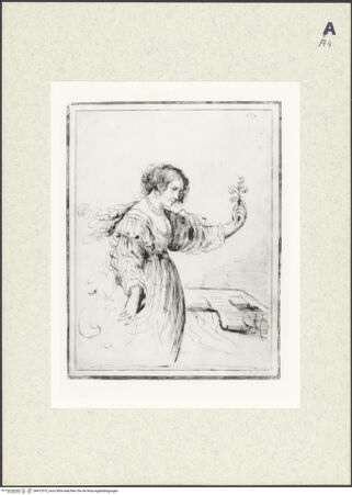 Vorderseite von bh412975_recto