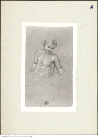 Vorderseite von bh412979_recto