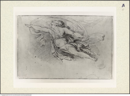 Vorderseite von bh413019_recto