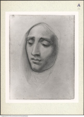 Vorderseite von bh413029_recto