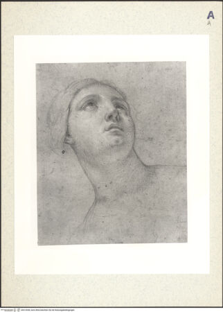 Vorderseite von bh413058_recto