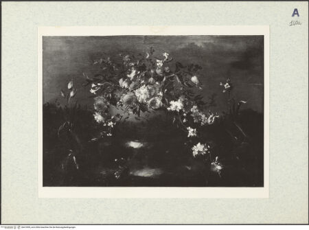 Vorderseite von bh413095_recto